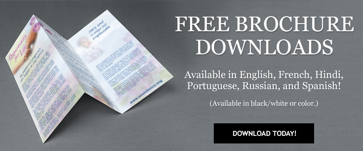 Free brochure downloads